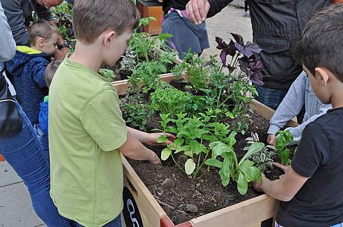 Rpn Lécole De La Nature Au Jardin Anglais Début Juin - 