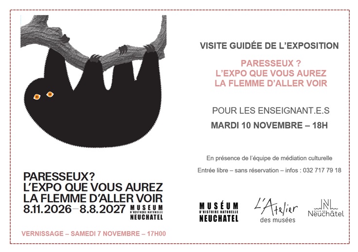 MHN_visite-guidee_enseignants_20261110.jpg